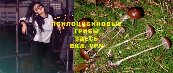 бутират Каменногорск